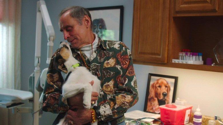 The Dog Doc image