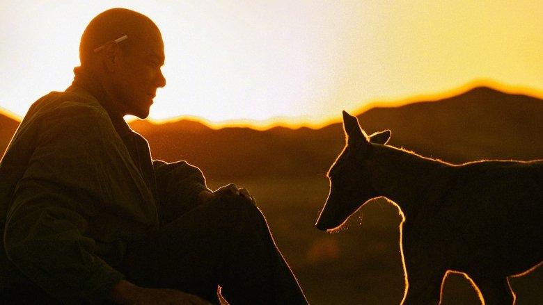 Black Dog image