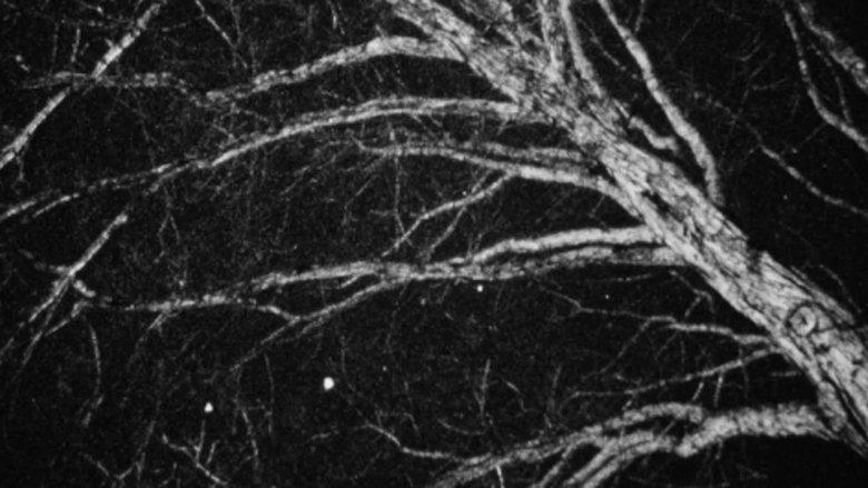 Nocturne image