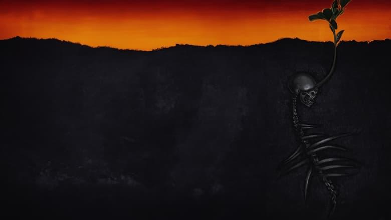 The Seeding image