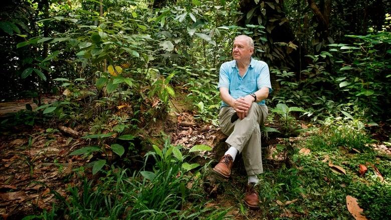 Attenborough: 60 Years in the Wild image