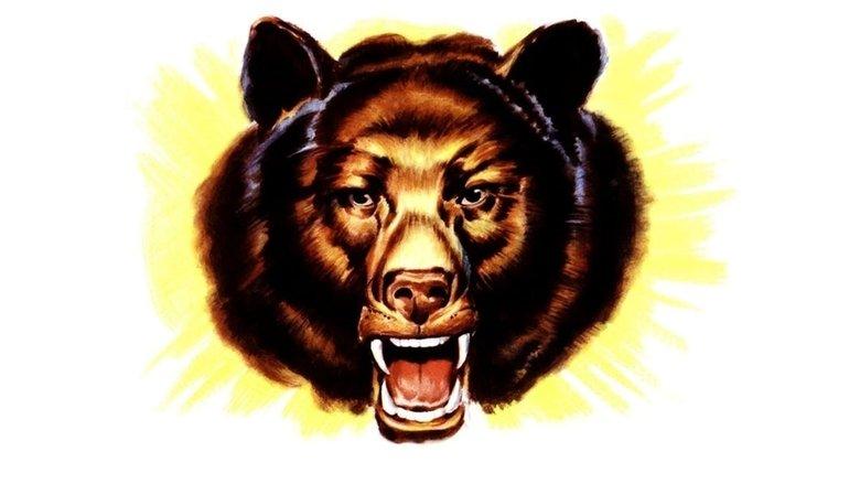 Bear Country image