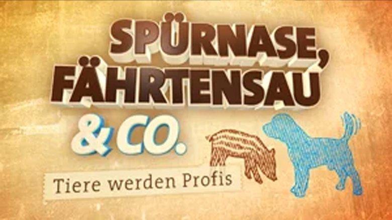 Spürnase, Fährtensau & Co. image