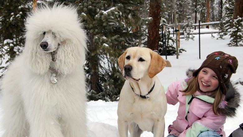 The Dog Who Saved Christmas image