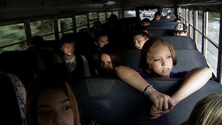 Bully image