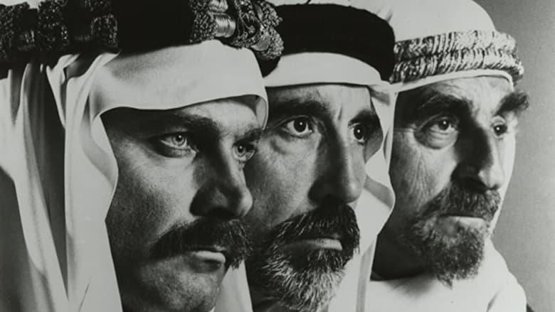 The Pirate image
