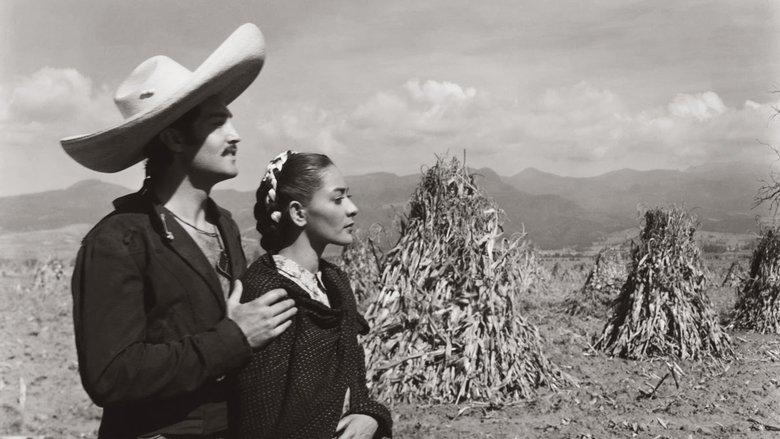 Pueblerina image