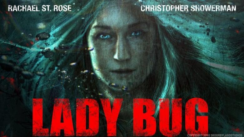 Lady Bug image