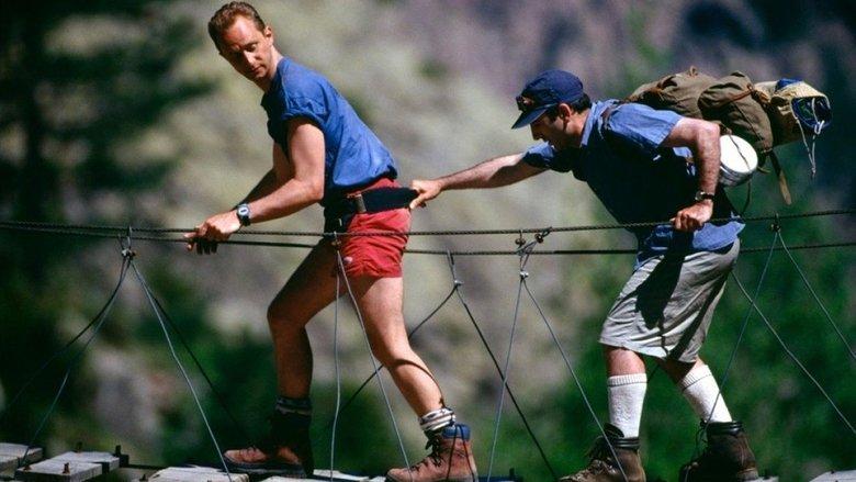 Hikers image