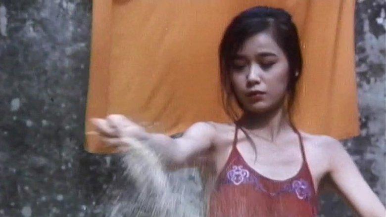 The Sichuan Concubines image