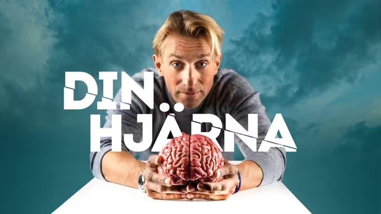 Your Brain image
