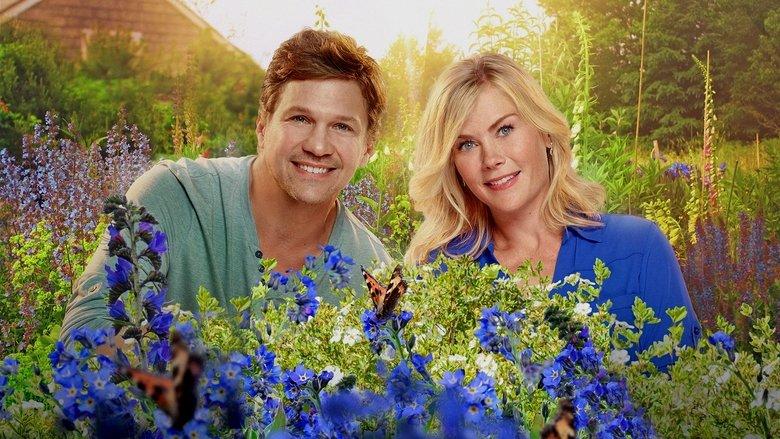 The Irresistible Blueberry Farm image