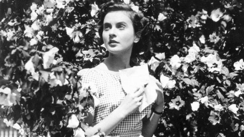 Vesna image