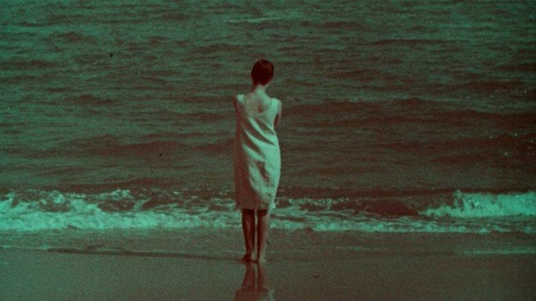 Entering the Sea image