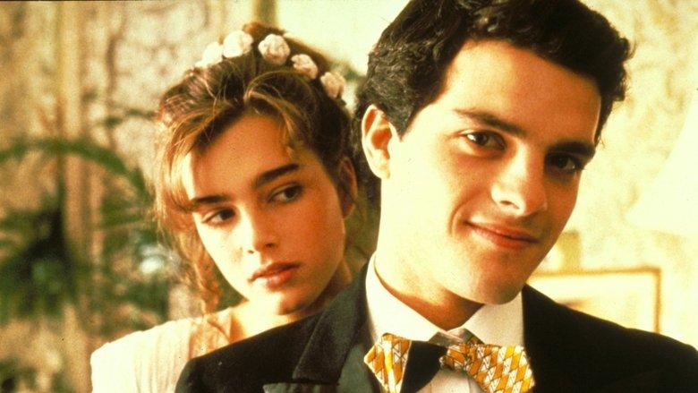 Endless Love image