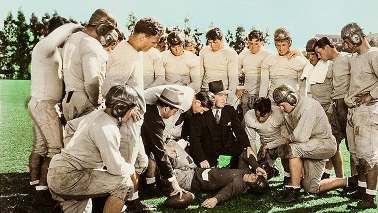 Rose Bowl image