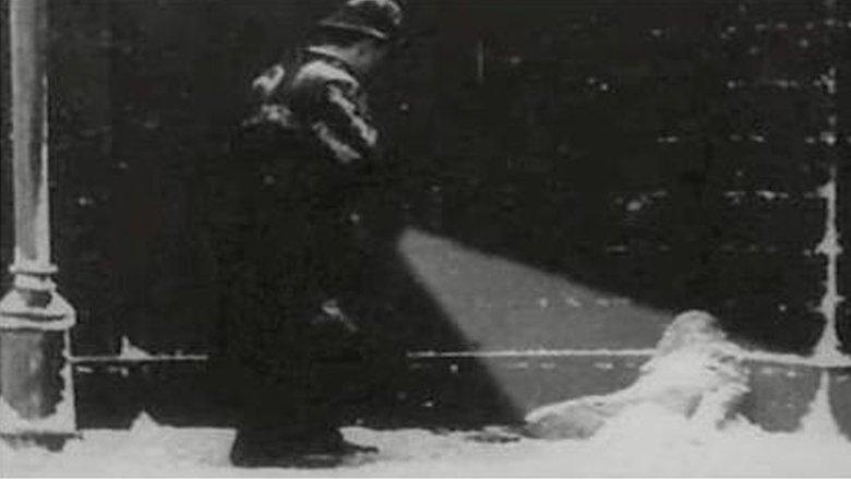 The Little Match Seller image