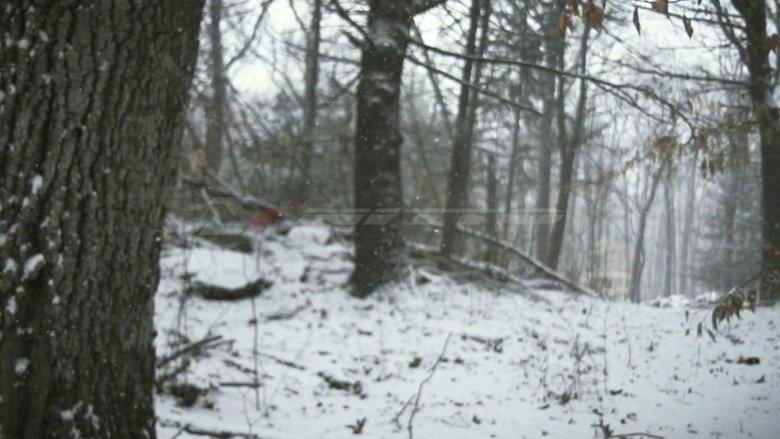 Element of Survival image