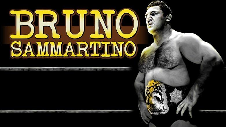 Bruno Sammartino image