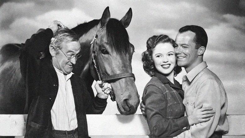 The Story of Seabiscuit image
