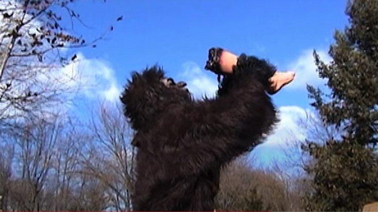Suburban Sasquatch image