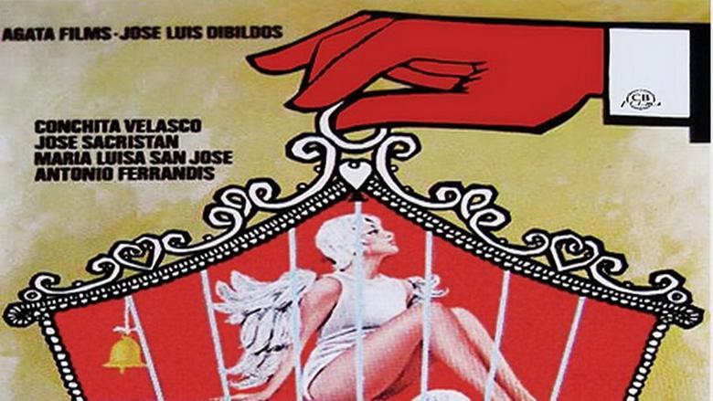 Mi mujer es muy decente, dentro de lo que cabe image