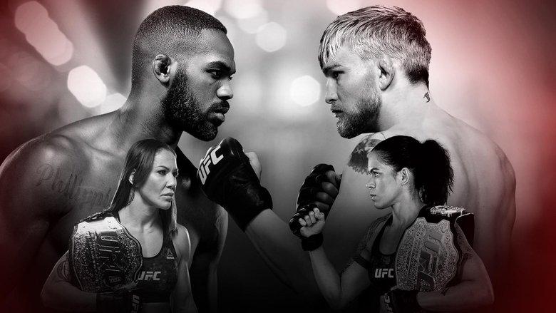 UFC 232: Jones vs. Gustafsson 2 image