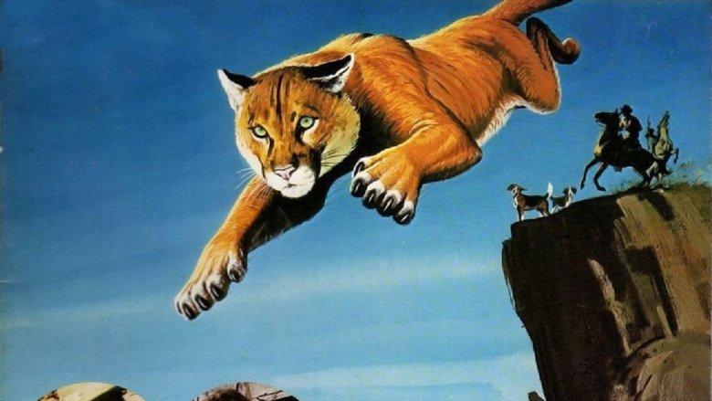 Run, Cougar, Run image