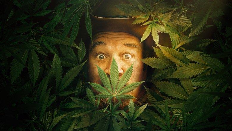 Growing Belushi image