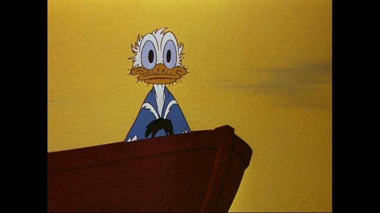 No Sail image