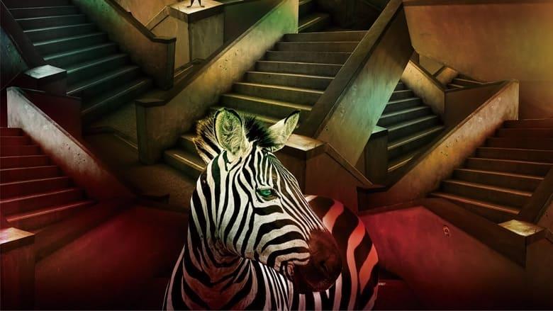 The Magician on the Skywalk image