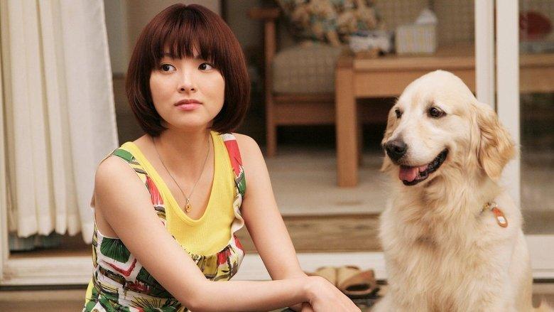 10 Promises to My Dog image