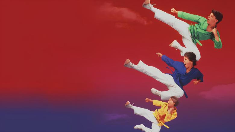 3 Ninjas Kick Back image