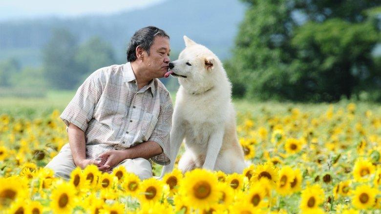 Star Watching Dog image