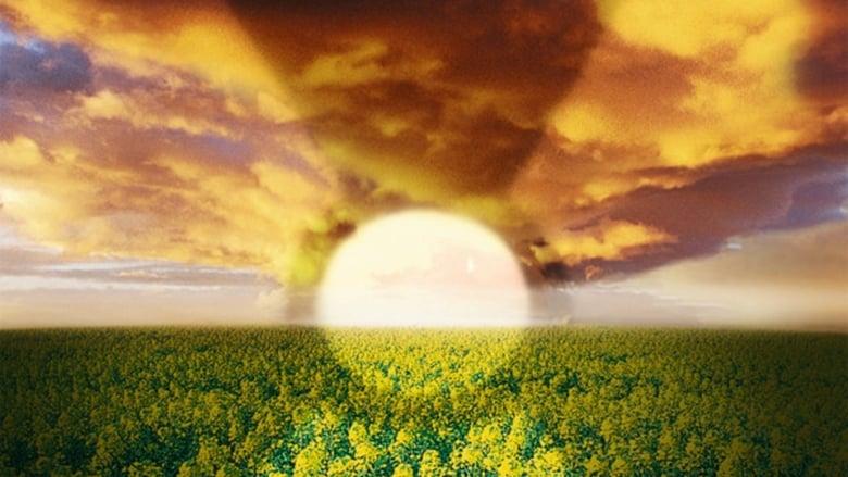 The Cloud image