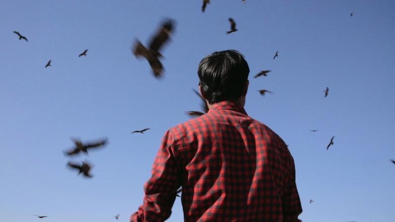 Junun image