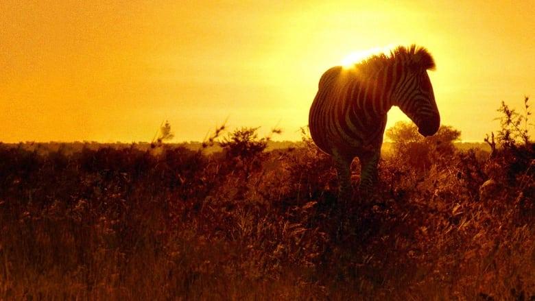 Africa's Wild Havens image