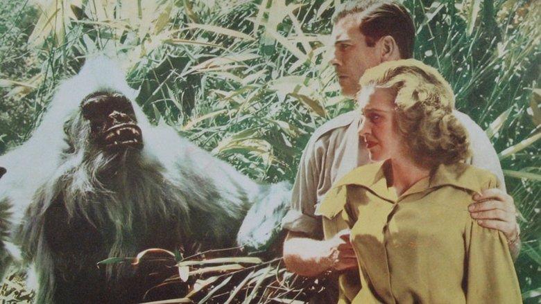 White Pongo image