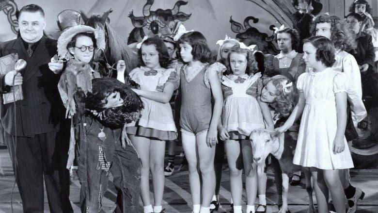 Barnyard Follies image