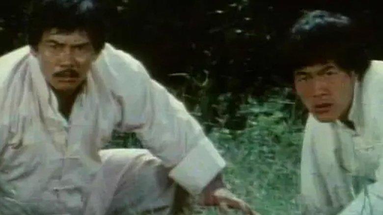 Bruce Lee The Invincible image
