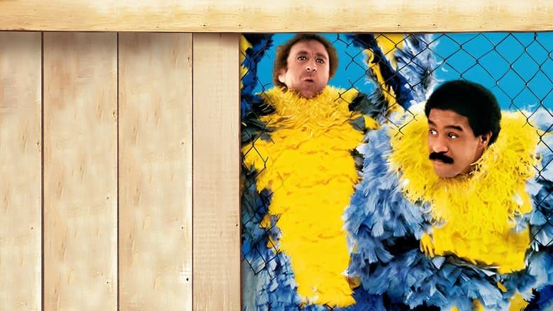 Stir Crazy image