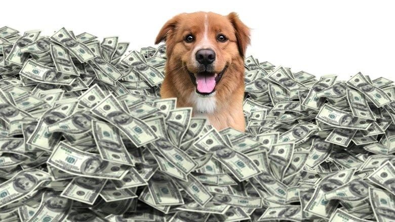 The Furry Fortune image