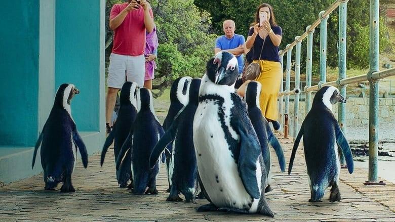 Penguin Town image