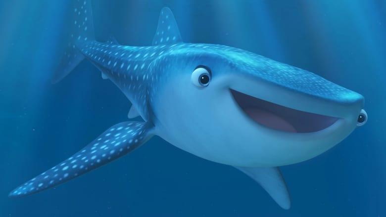 Marine Life Interviews image