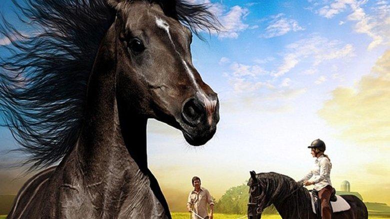 The Dark Horse image