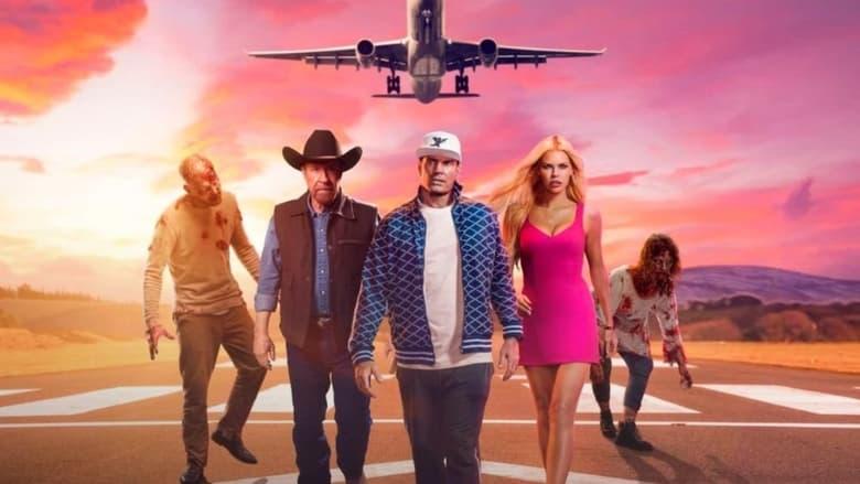 Zombie Plane image
