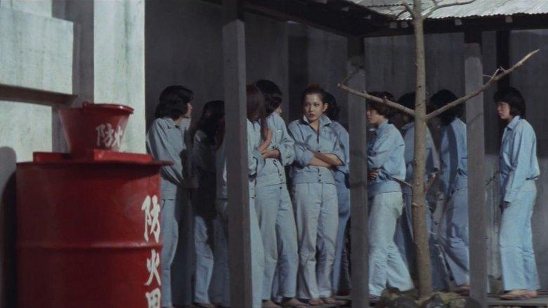 True Story of a Woman in Jail: Sex Hell image