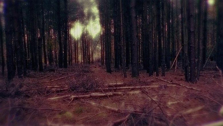 Shallow Grave image