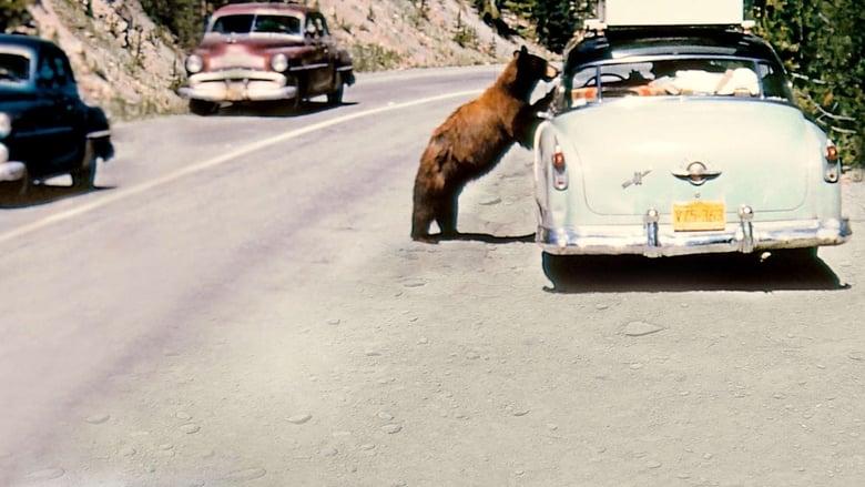 America's National Parks at 100 image