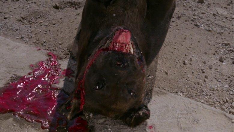 The Big Dead Dog image